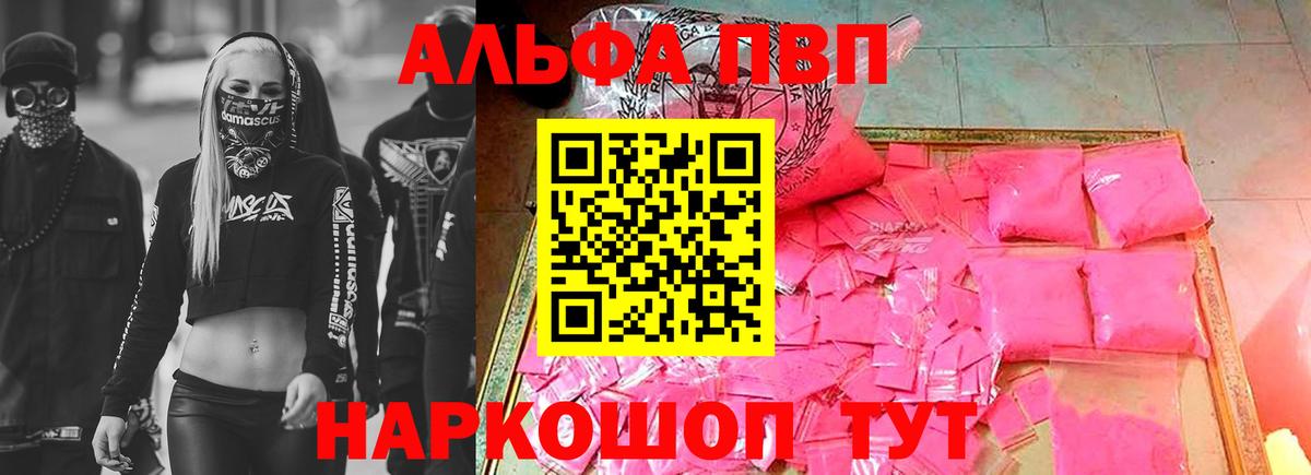 Alfa_PVP СК Елец