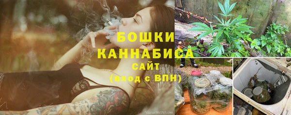 мдпв Володарск